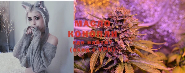 прущие грибы Балабаново